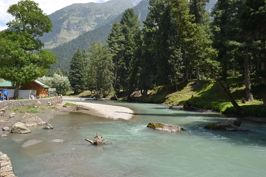 Kashmir — Shikaras, saffron meadows and the Pir Panjal