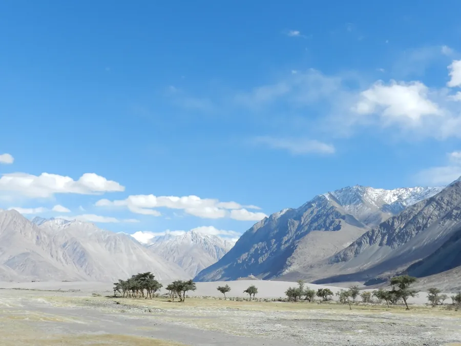 Leh Ladakh — High passes, cold desert and the light off Pangong