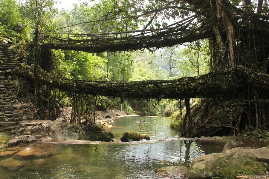 North East India — Living root bridges, one-horned rhinos and the wettest hills in India